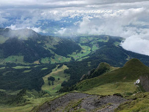 Meet your Posher, Daneel